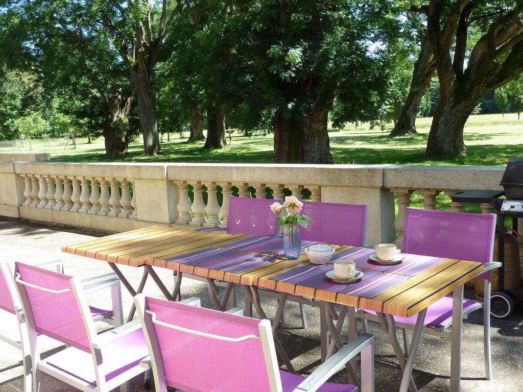 Chateau De Lacaze Bed & Breakfast Lagarrigue  Luaran gambar